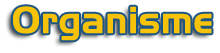 Organisme