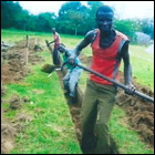 Projet: Achat de t�les BG 28