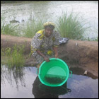 Project: Fish Farming