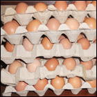 Project: Agriculture