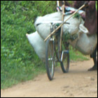 Project&nbsp;: Repair Shop 