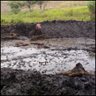 Project: Fish Farming