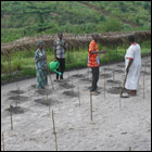 Projet�: Banque alimentaire  